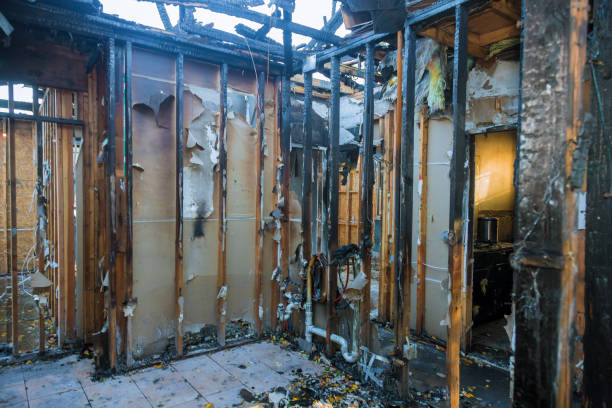 Professional Fire Damage Removal technician working in Elkins Park, PA